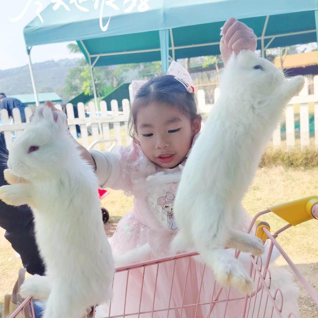 妞妞宝贝