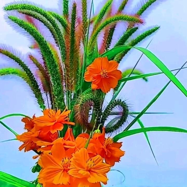 萝莉