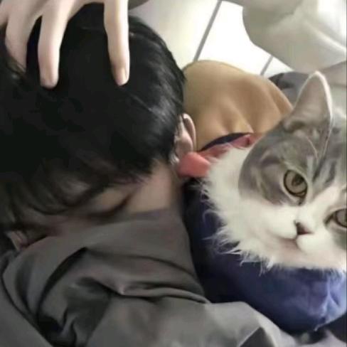 我想要两颗西柚☆