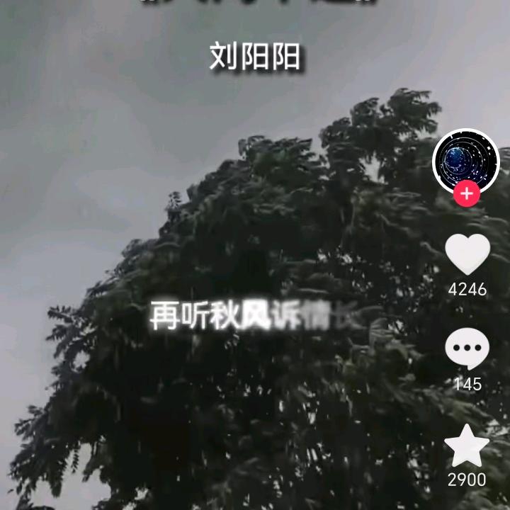 肖先生