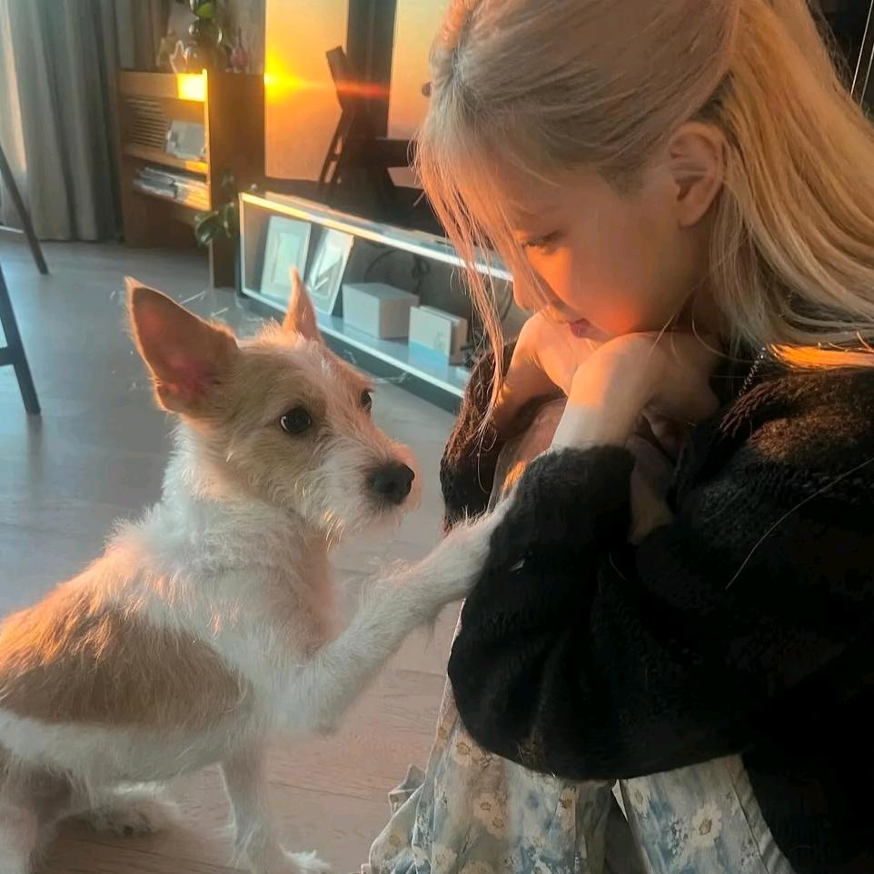 𝙕🐾.