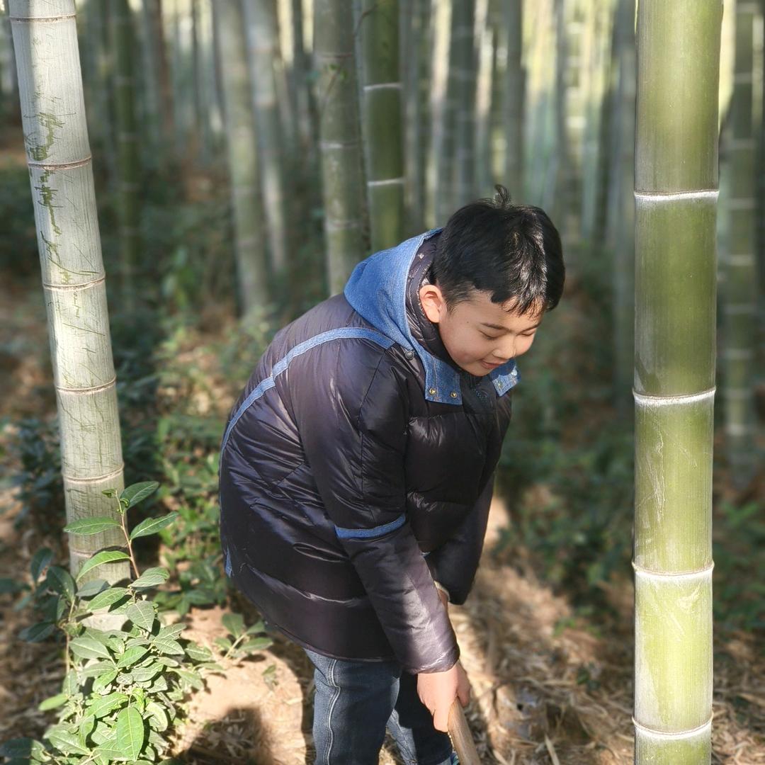 💞࿐凌大小姐