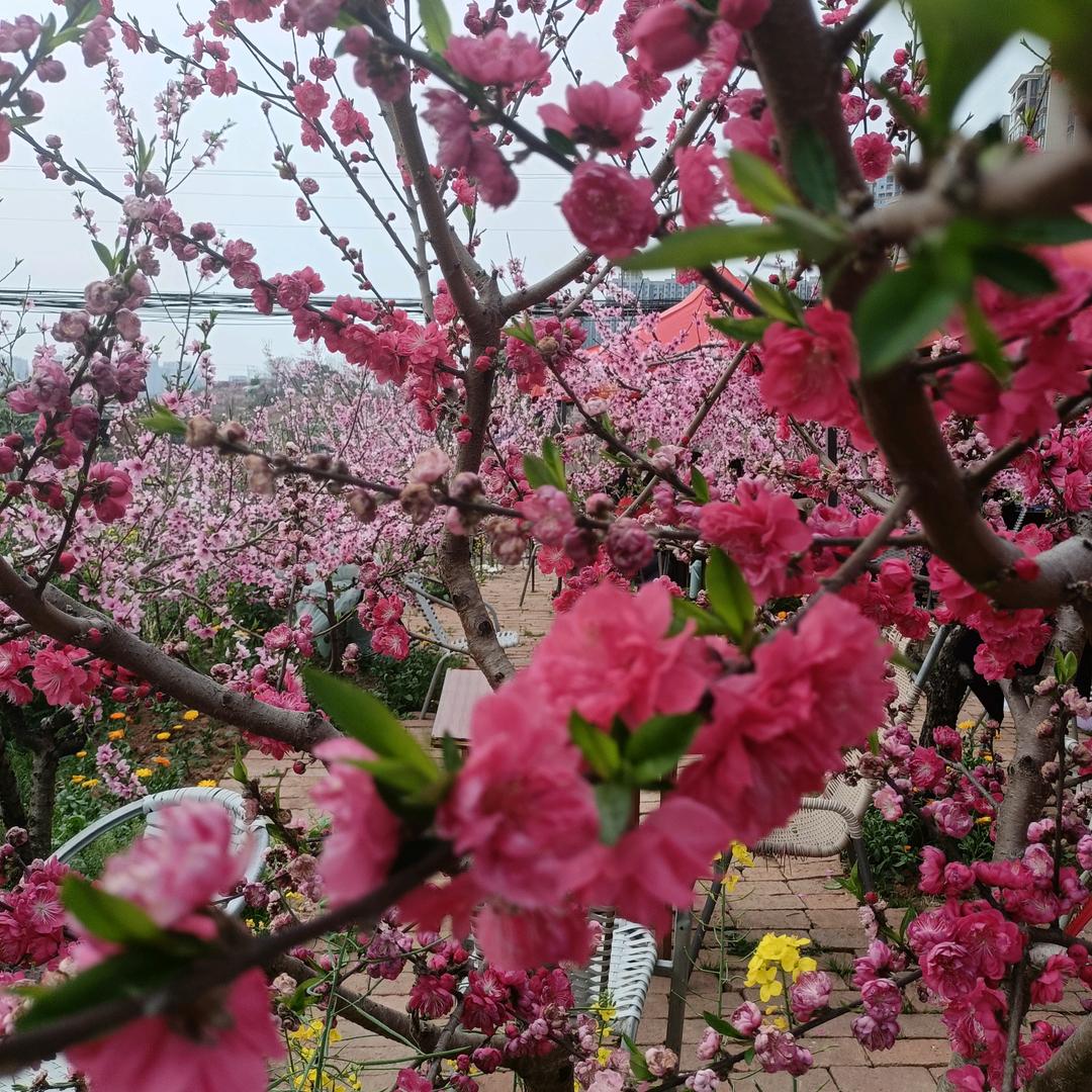 ꧔ꦿ᭄过客💞꧔ꦿ᭄