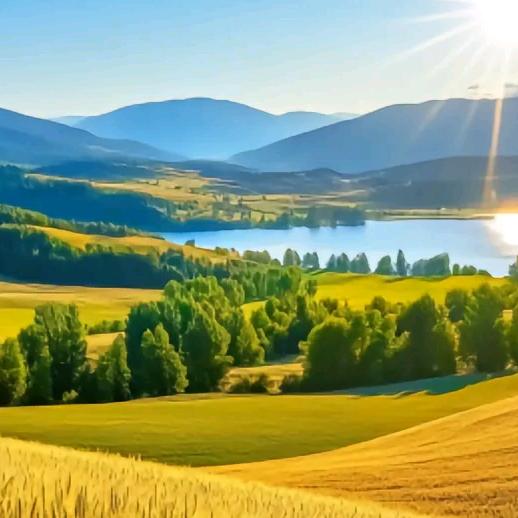 欢喜过大年(红包专场)