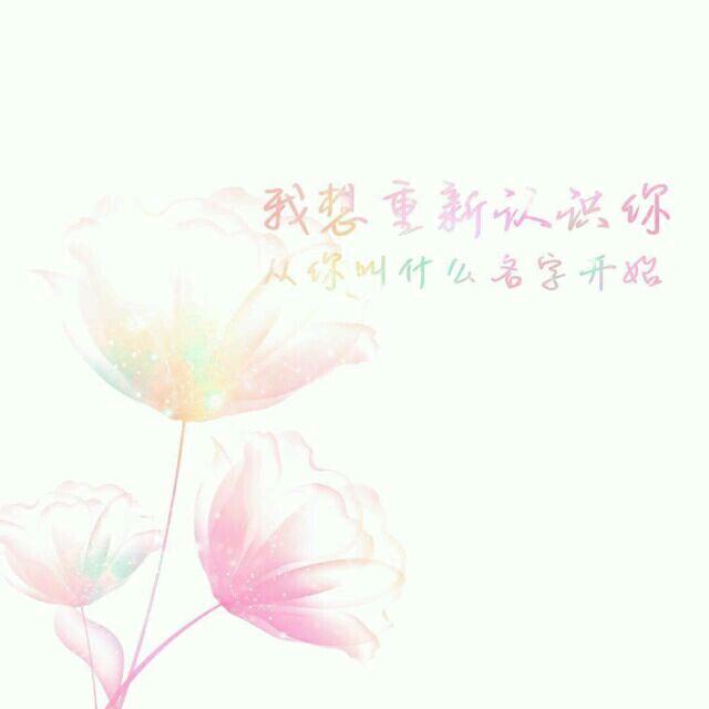 南柯一梦