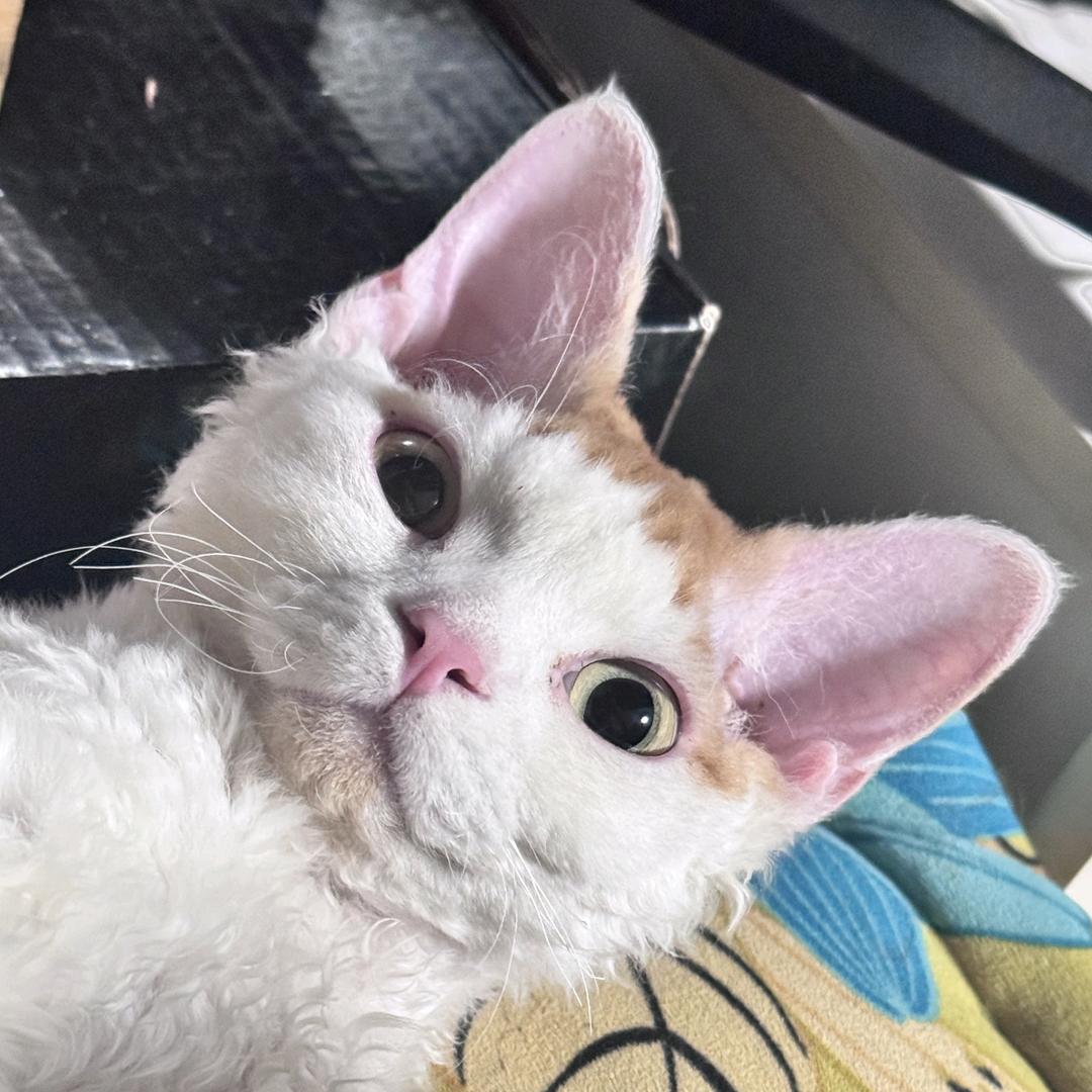 王杠杠🙋‍♂️