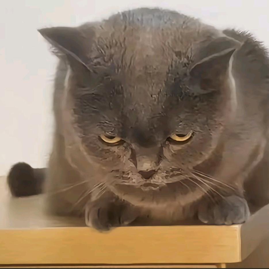 越来越最惨种人