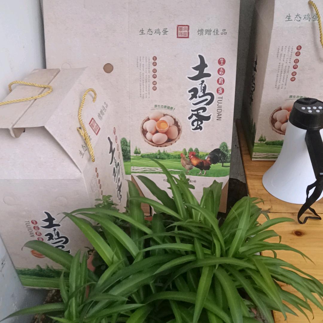 知奋进_