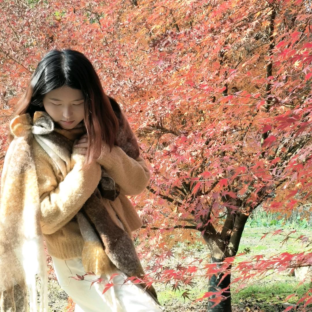 赵相机📷