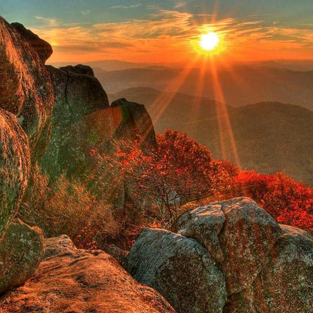 大家都叫我贺先生