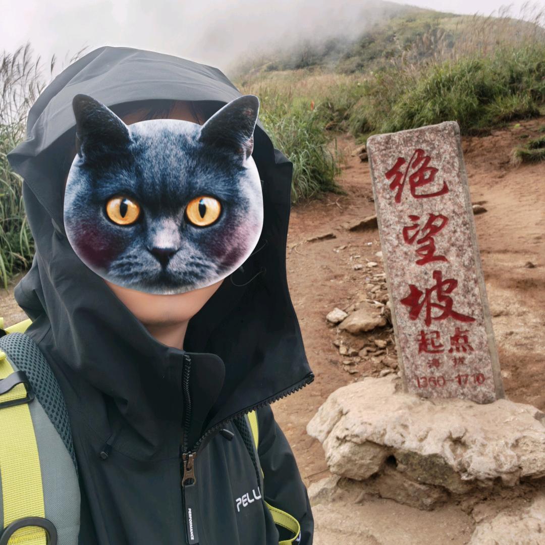 明月清风塑我面