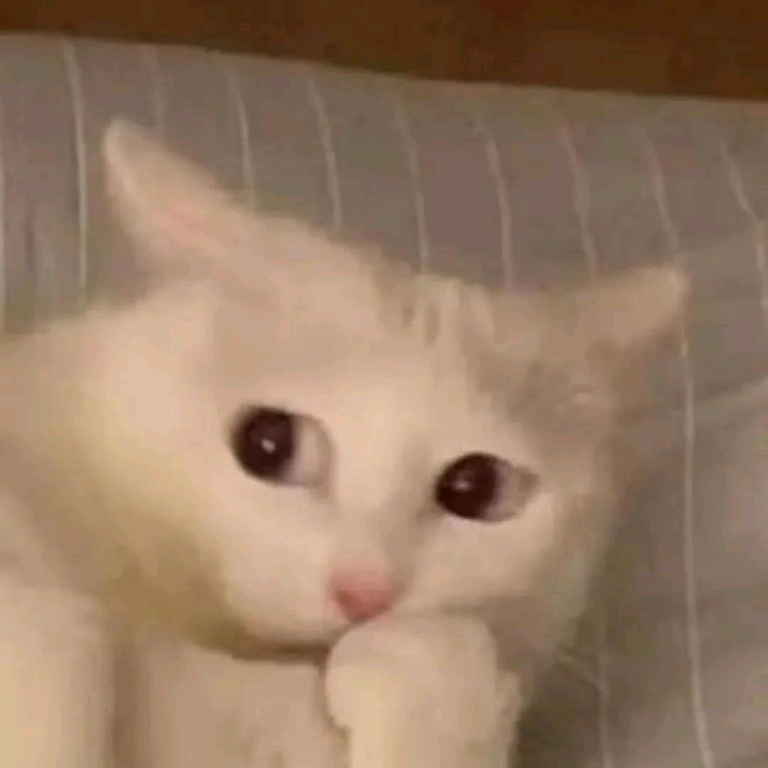 哥哥