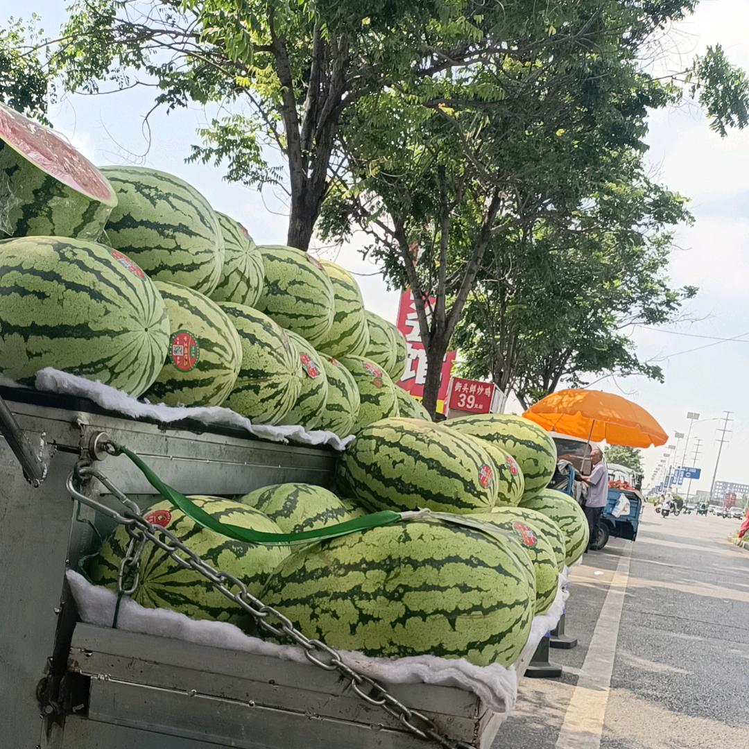 坚强姐。