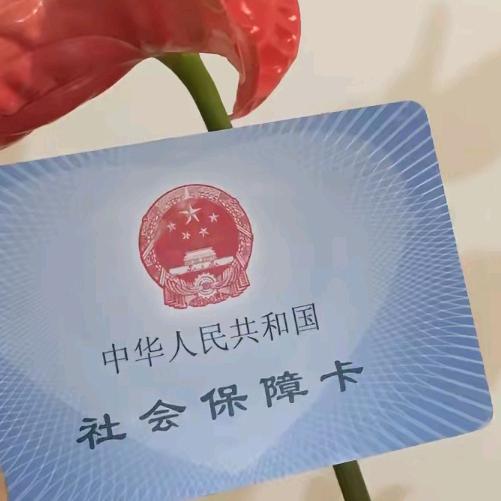 社保知识找大麗