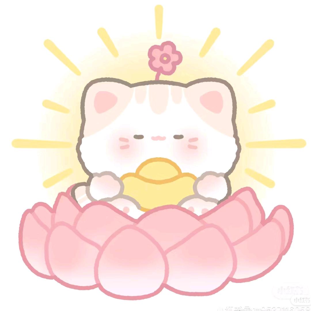 白菜吖