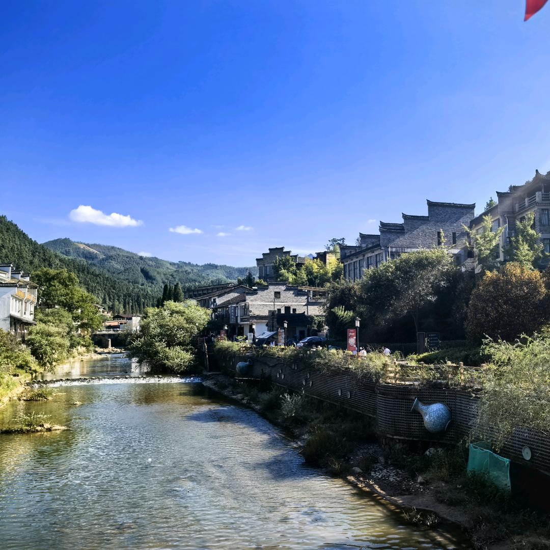 对鱼当歌（老丁）