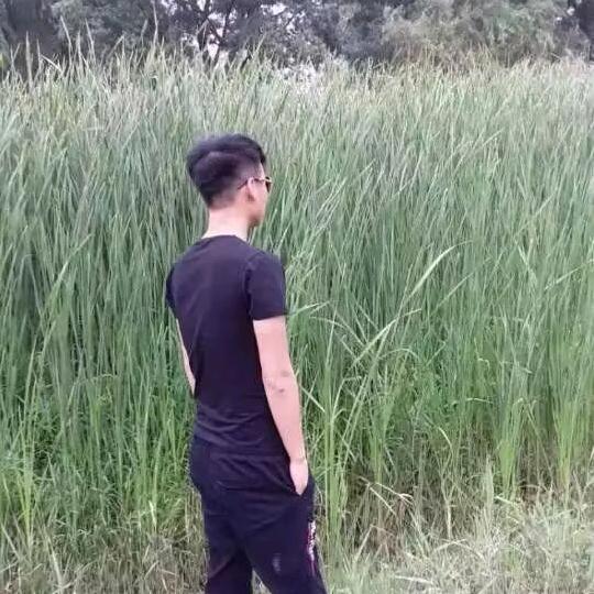 淘淘地摊牛排骨