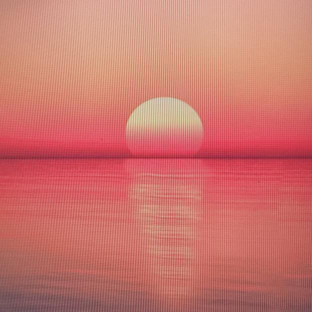 夕阳红@
