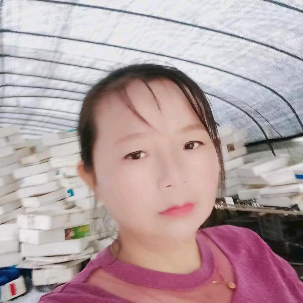 天天香香