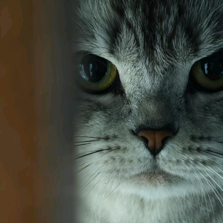 归期
