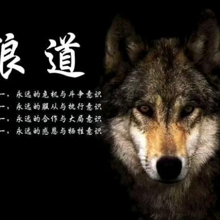 无情浪子