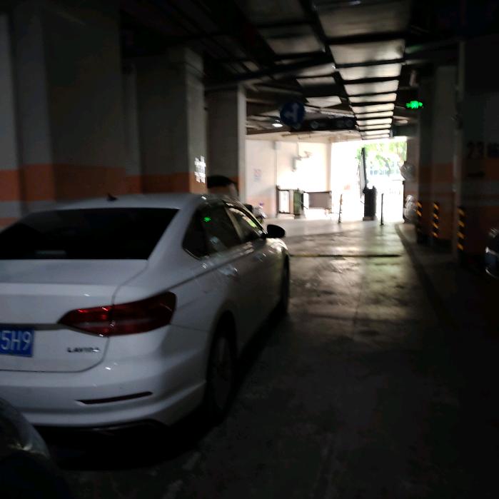 向上向善
