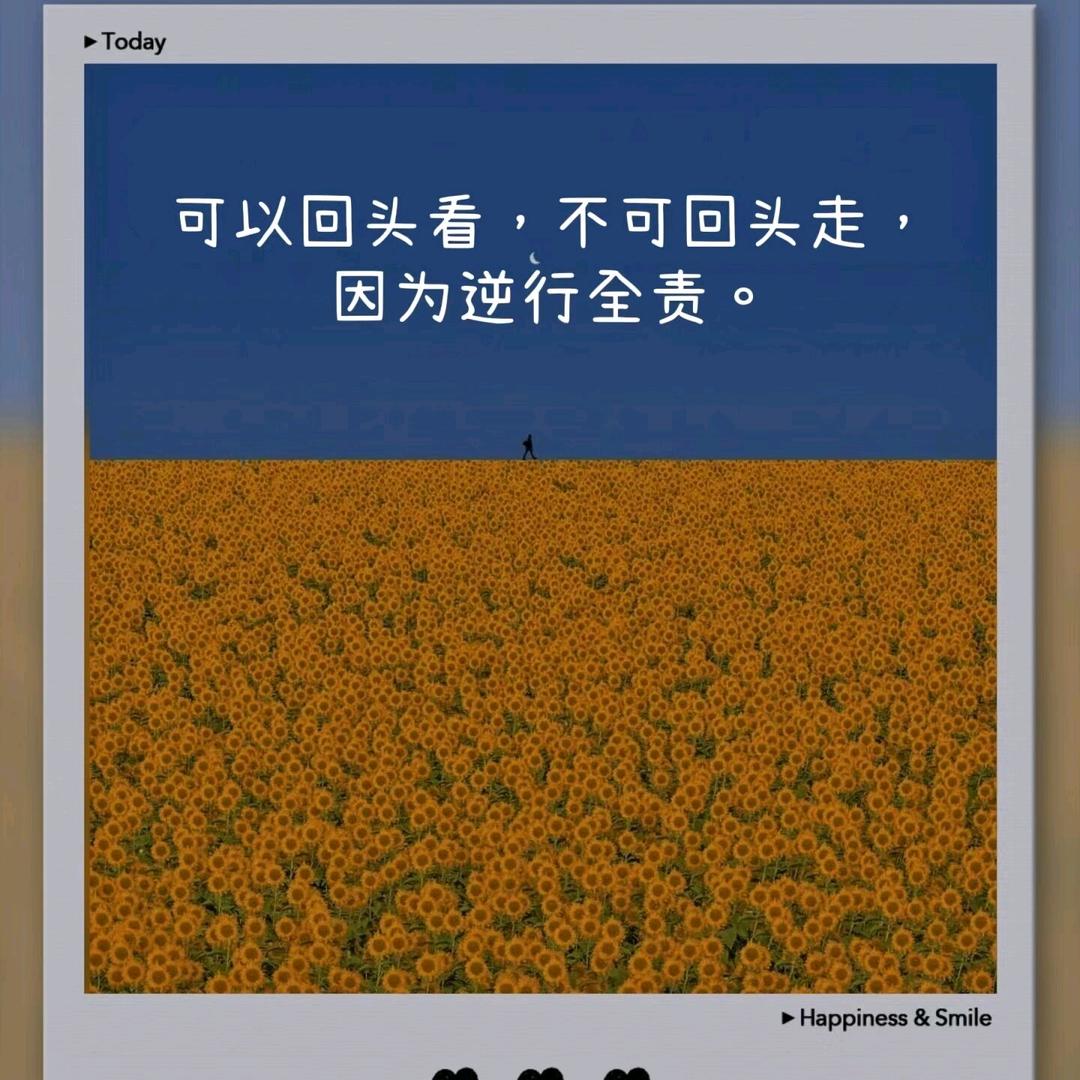 仅此而已