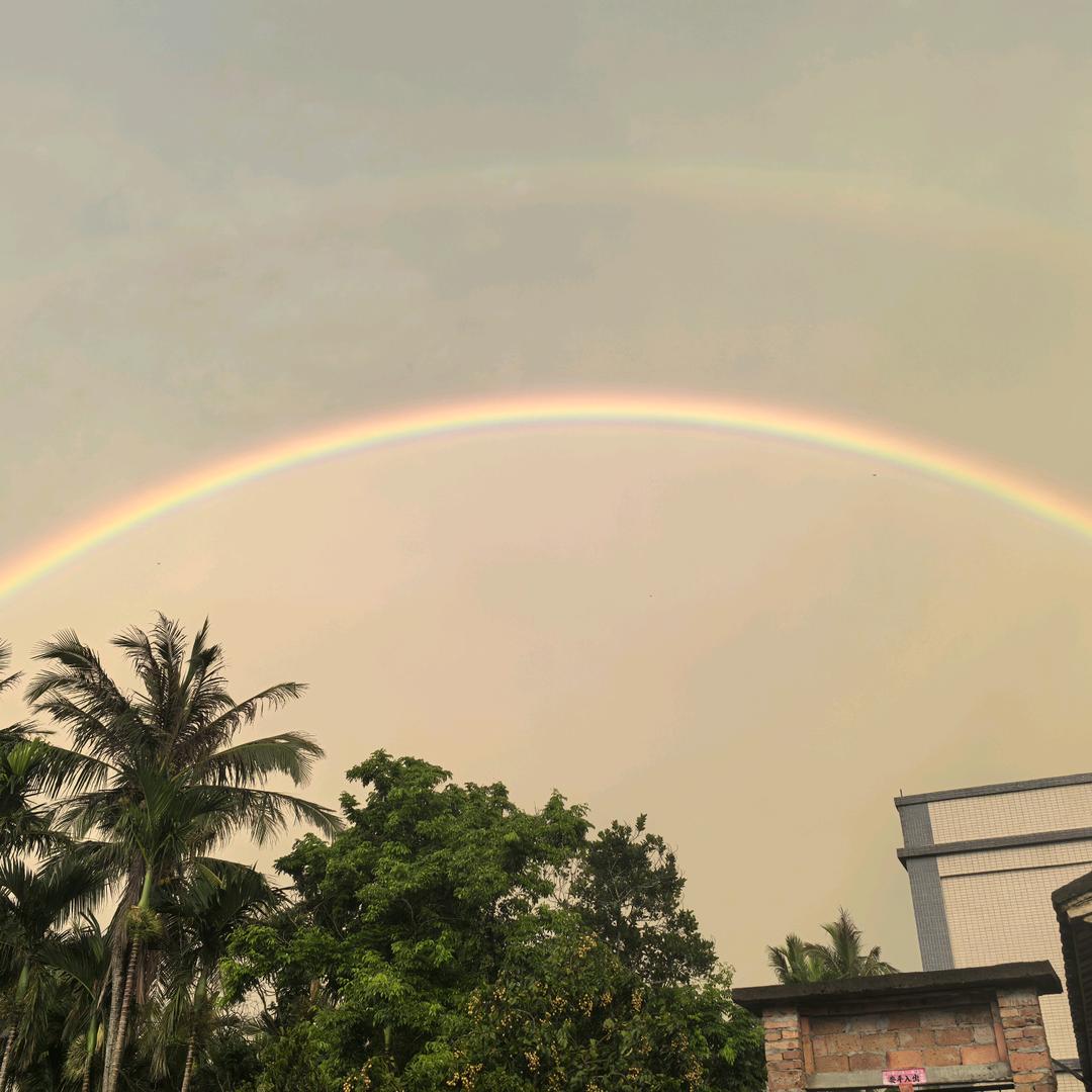 百战糕手-有十没九