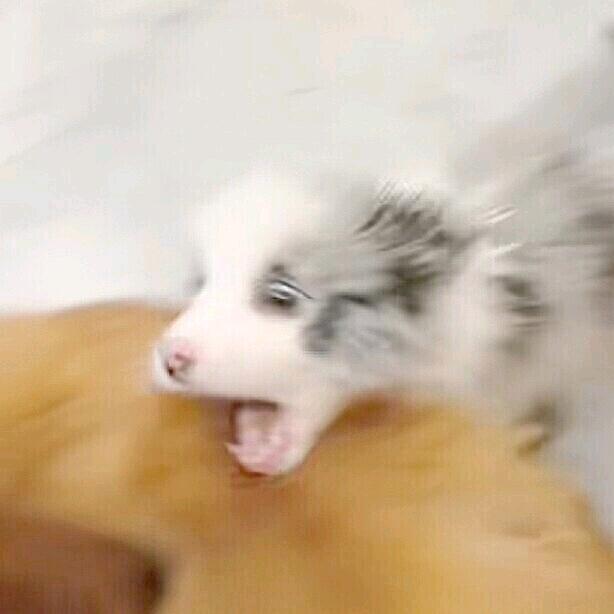 李煜桉
