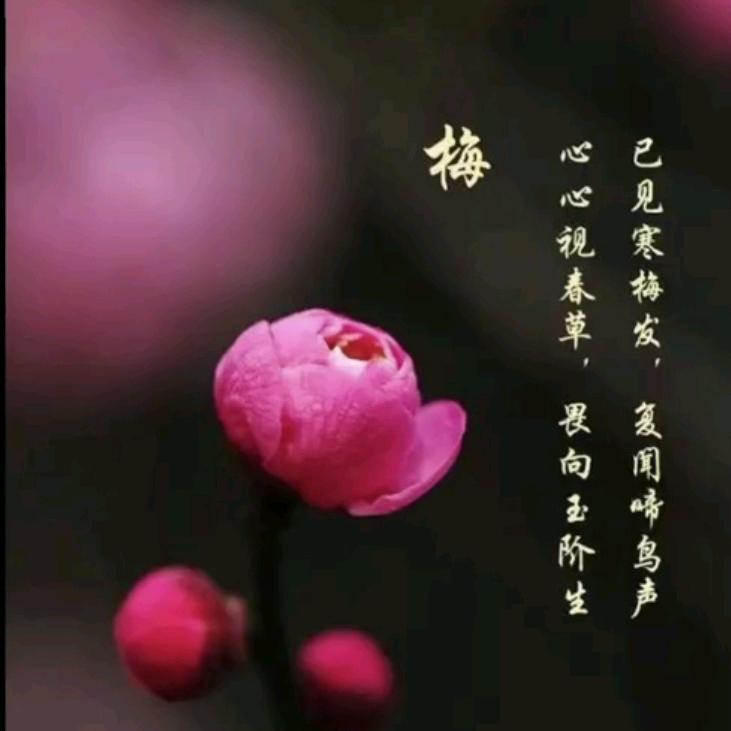 🦋ꦿ໊余生᭄🕊随心᭄ꦿᩚ٭