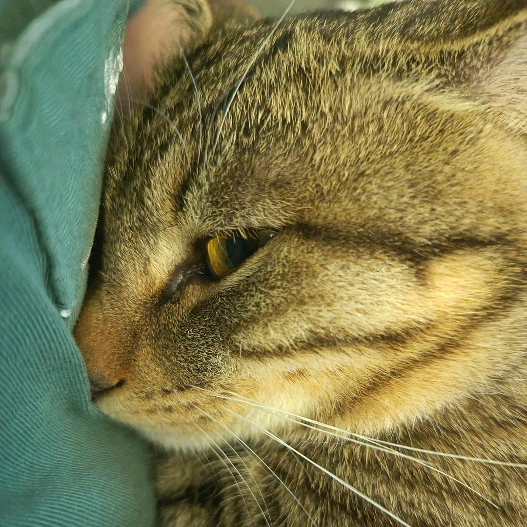 猛踹瘸子那条好腿～