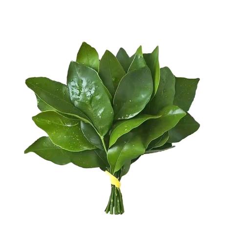 总会有好天气
