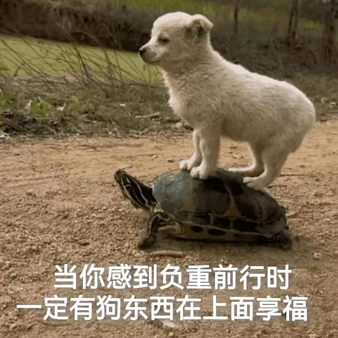 小猿可爱多