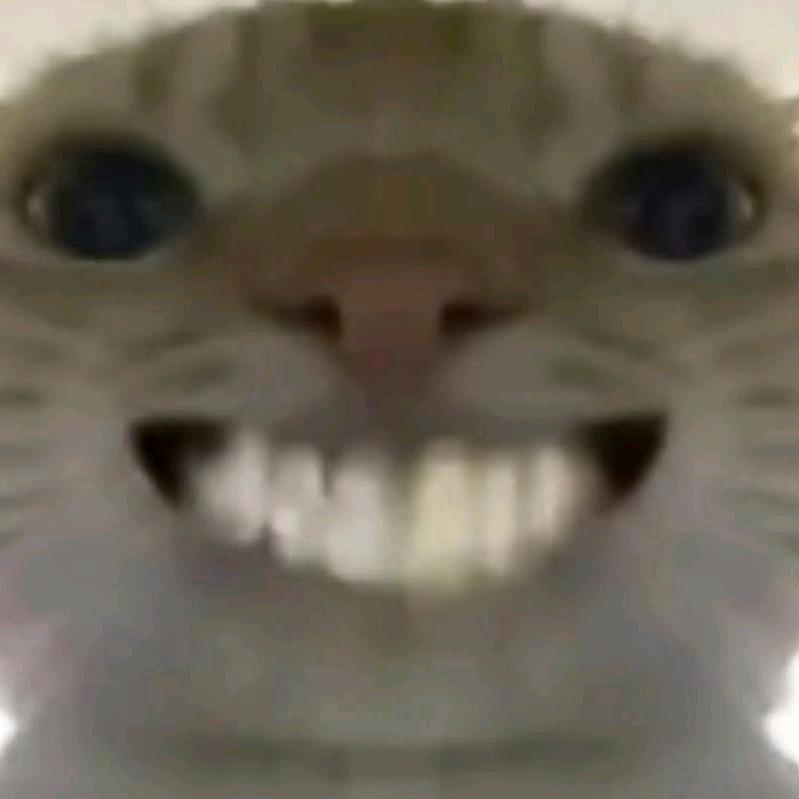 爱玩和平的菜鸟