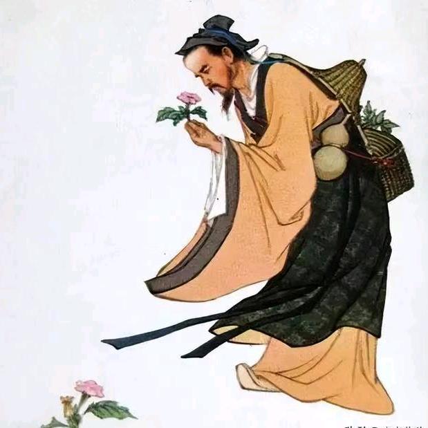 河泽信咨