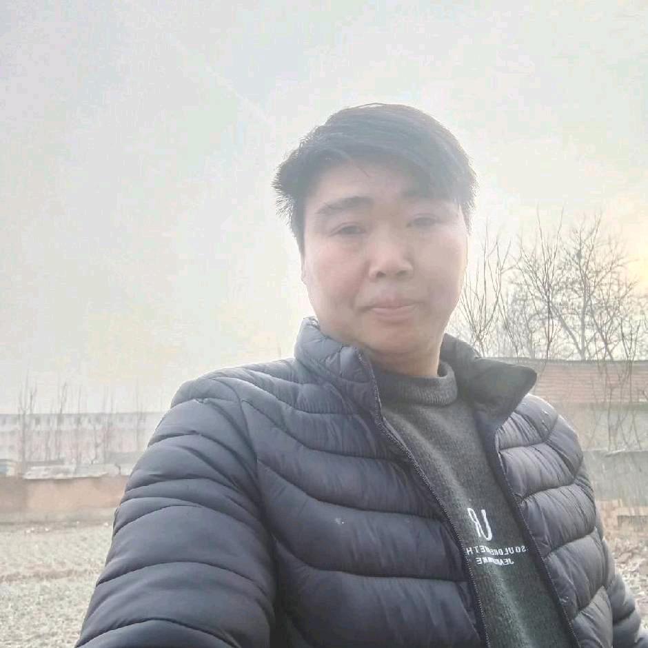 齐小齐
