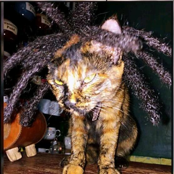 unhappytattoo原创钛合金耳钉