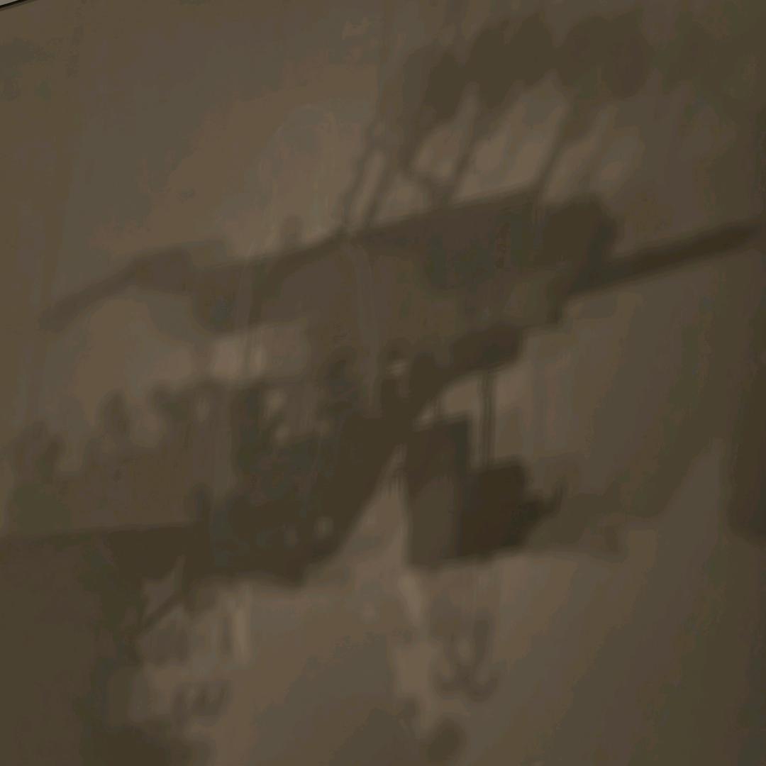 张开
