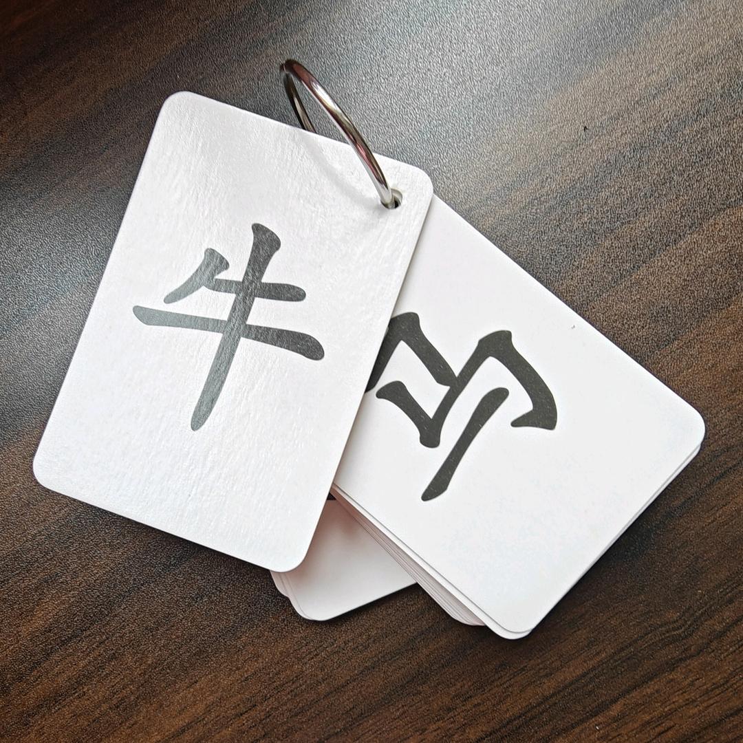 东北拉布拉多