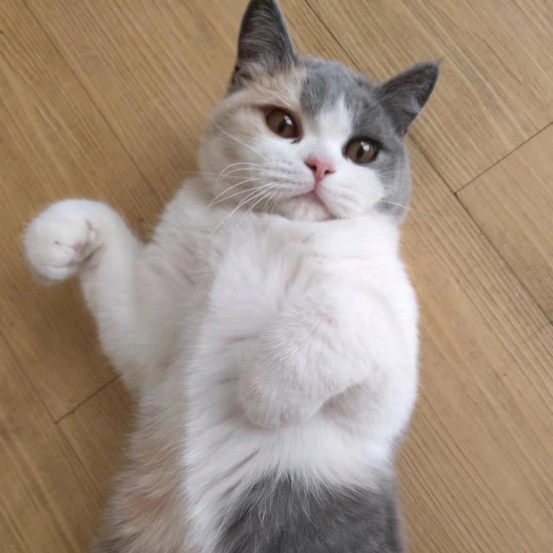 意不意外，开不开心