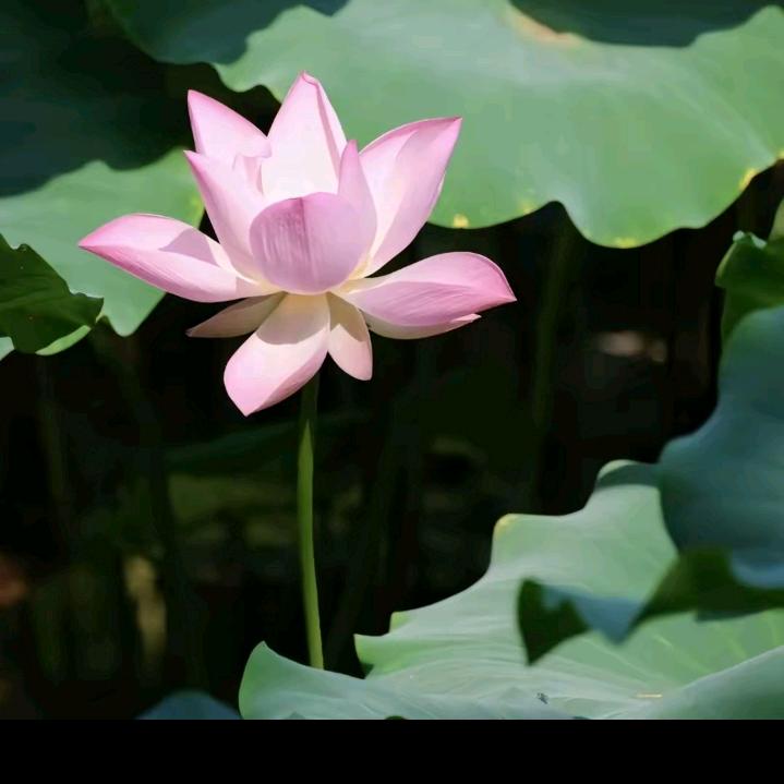 快乐每一天