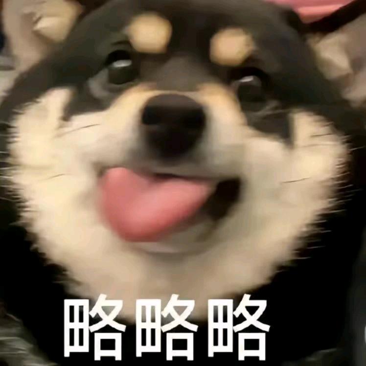 豪清欢