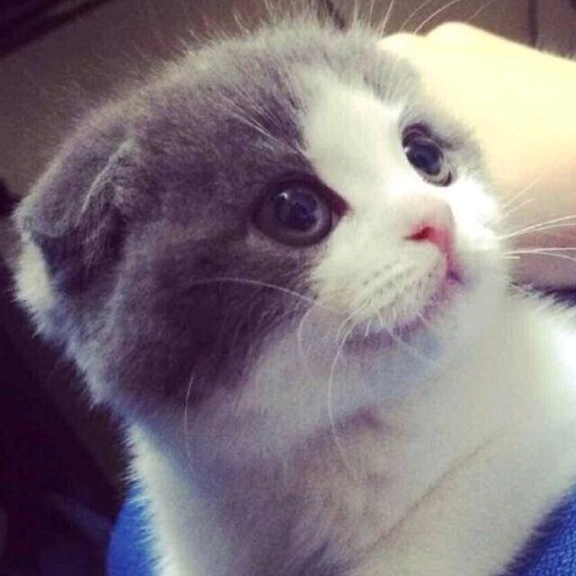 糖果（地铁逃生）