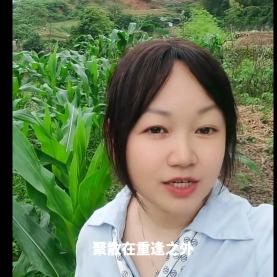 甜甜短剧
