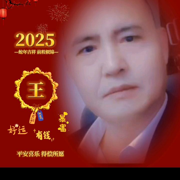野狼战队