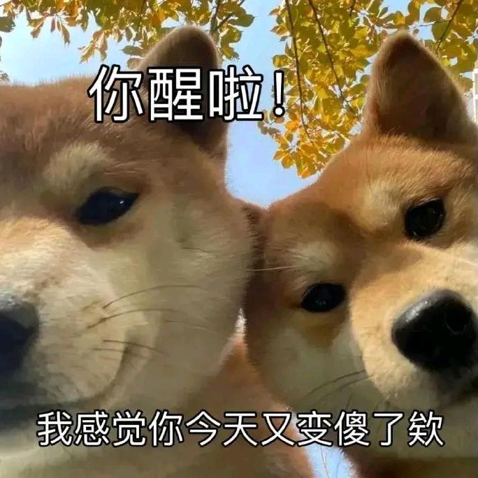 去薯条整点码头