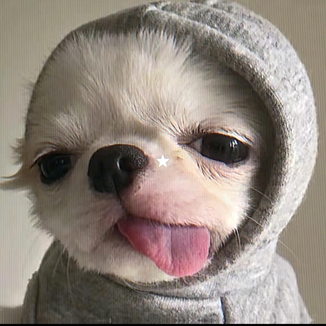 ◑.◑