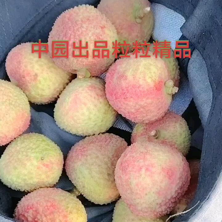 逆流而上，努力奋斗