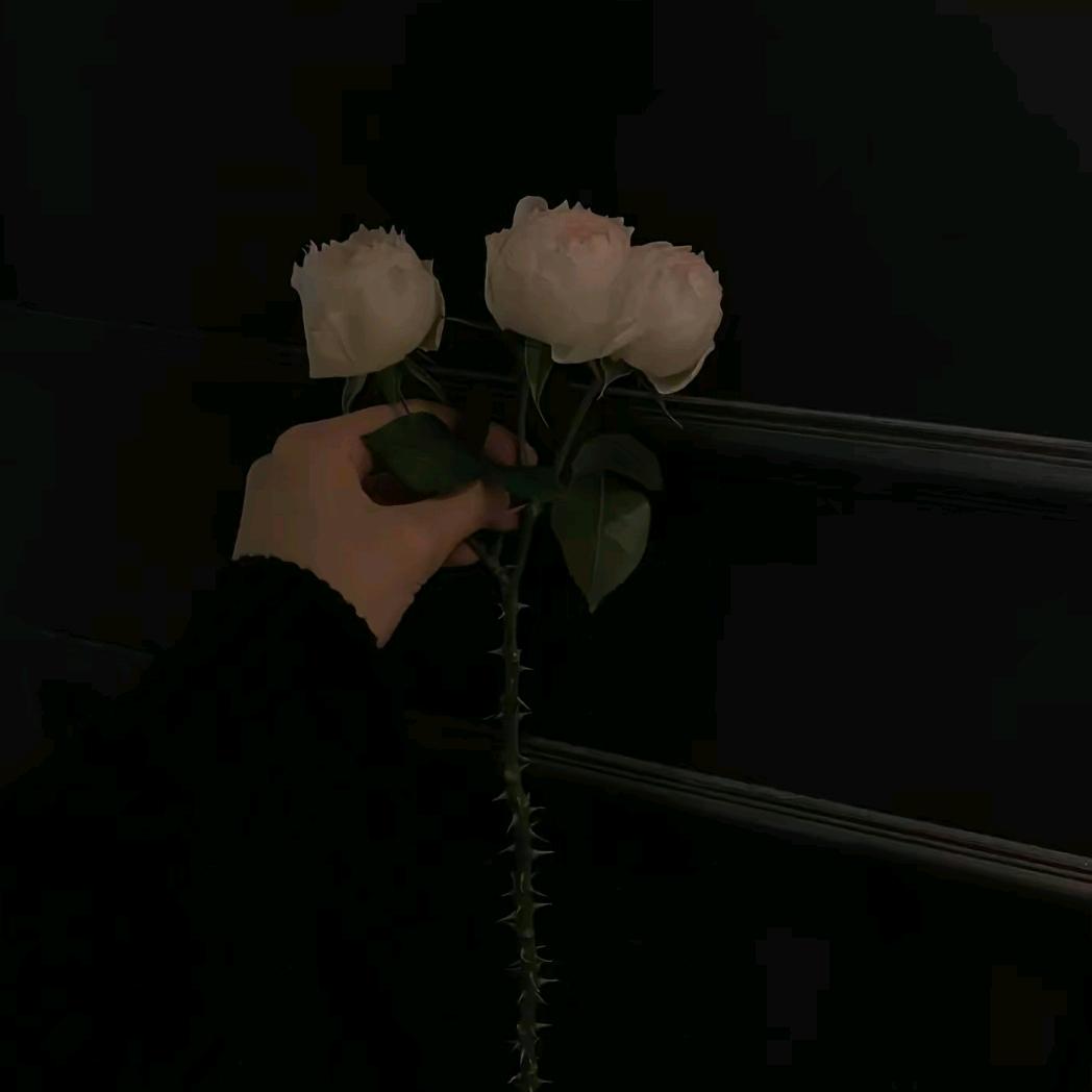 W·