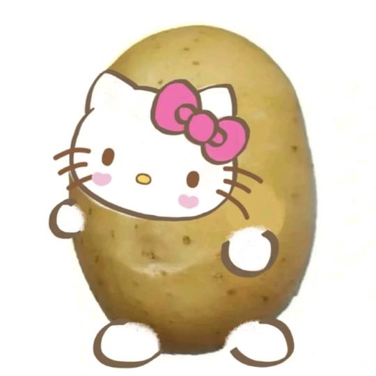 (៸៸᳐⦁⩊⦁៸៸᳐ )੭